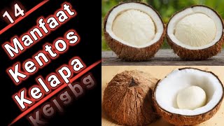 14 Manfaat Kentos Kelapa