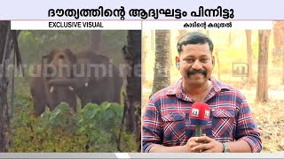 'ആപത്ഘട്ടത്തിൽ ചേർത്ത് നിർത്തി, മനുഷ്യർ കണ്ടുപഠിക്കേണ്ട കാഴ്ചയാണ് ആ കാട്ടാന അവിടെ കാണിച്ചത്'