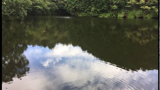 【和歌山県紀の川市編⑬】野池で気軽に親子やカップルでバス釣り♪ポイント紹介（地図付き）