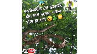 आतापर्यंतचा सर्वात वेगळा Snake Rescue | Sarpmitra Kishor | India's Fastest Snake | Dangerous Rescue