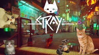 Вся суть Stray  за 25 минут