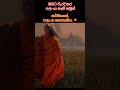 තථාගතයාණන් වහන්සේගේ උතුම් වූ ශ්‍රී සද්ධර්මය සත්‍යයි.🙏☸️ trending budismo whatsapp_status fyp ☸🙏