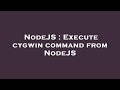 NodeJS : Execute cygwin command from NodeJS