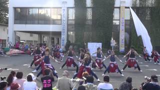 朝霞和楽＠2015　朝霞富士見町内会祭り