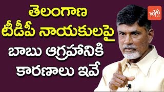 తెలంగాణ టీడీపీ నాయకులపై బాబు ఆగ్రహం  CM Chandrababu Strong Warning to TTDP Leaders | YOYO TV CHANNEL