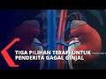 Ini Tiga Pilihan Terapi untuk Penderita Gagal Ginjal