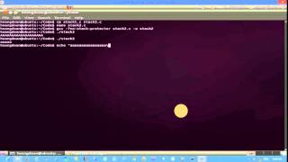 Lab BufferOverflow Demo Video