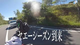 【15秒】CM一本分で伝えるバイクの醍醐味　#Shorts　モトブログ