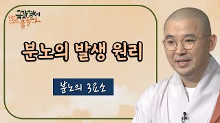 분노는 이 '3가지' 요소가 갖춰졌을 때 일어난다-원빈스님의 금강경에 물들다 40회