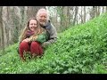 Nettle Talk with Juerg Dreamturtle (March 2016)