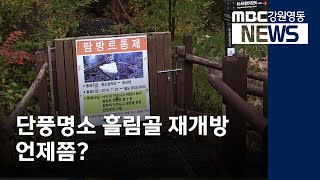 [뉴스리포트] 단풍명소 흘림골, 재개방 언제쯤? 201013