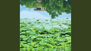 Early Days of Summer (여름의 초입)