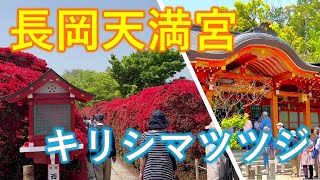 Kyoto/Nagaoka Tenmangu Shrine/Kirishima azalea best time to see 2023