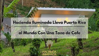 Como Hacienda Iluminada Lleva Puerto Rico al Mundo Con Una Taza de Cafe