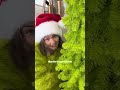 telling my wife she can put the grinch tree up hunteranddevin couple funny grinch