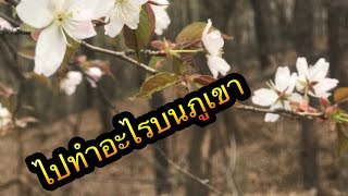 ขึ้นเขาเกาหลีใต้byช่างต้อม