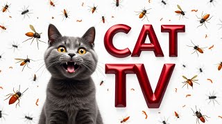 CAT Games | That Will Have Your Pet Purring for More Episode 1 | 3HOURS🐝🐞🦋🦎🦜🐜🐭