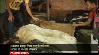 বহুমুখী সংকটে  চট্টগ্রামের চামড়া শিল্প, আস্থা পাচ্ছে না আড়তদাররা | Jamuna TV