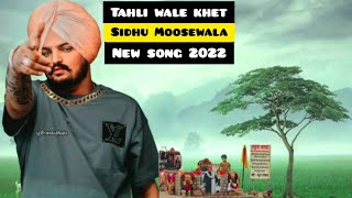 Tali Wale Khet Sidhu Moose Wala | NewPunjabi Songs | Latest Punjabi Songs |Sidhu Moosewala Songs2022