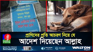 অন্যায়ভাবে কুকুর হ*ত্যা, যা বলছে ইসলাম | Animal Rights in Islam | Japan Garden | BanglaVision