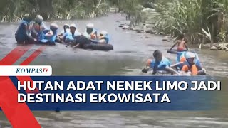 Keseruan Berwisata di  Hutan Adat Nenek Limo Kerinci Jambi