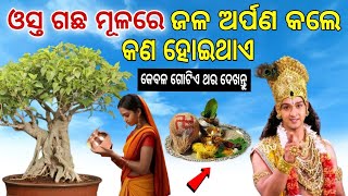 ଓସ୍ତ ଗଛ ମୂଳରେ ଜଳ ଅର୍ପଣ କଲେ କଣ ହୋଇଥାଏ || @vastutipsodia1