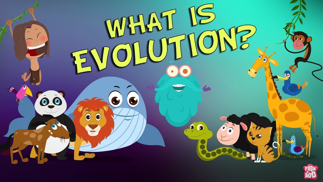 What Is Evolution? | The Dr. Binocs Show | Best Learning Videos For ...