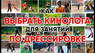 Как выбрать себе кинолога для занятий и не допустить ошибки?