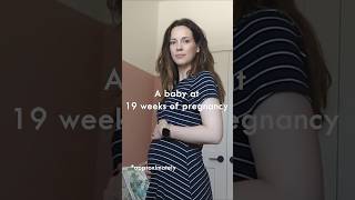 19 Weeks pregnant baby size