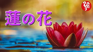 【斎藤一人さん】蓮の花の話 【切り抜き】