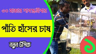 কম ইনভেস্টে হাঁসের খামার II Indian Runner \u0026 Other Duck Farming