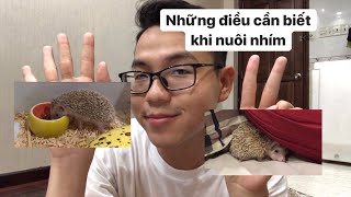 7 điều bạn cần biết trước khi nuôi nhím kiểng 😀 | Mẹo chăm nhím khiểng 🦔