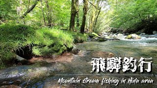 【渓流釣り】シーズンオフ間近の飛騨の渓を遡る　Mountain stream fishing in Hida area