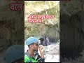 এরাও মানুষ এরা বন জঙ্গলে বসবাস করি এই প্রথম দেখলাম আমি