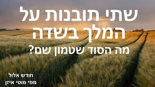 המלך בשדה שתי תובנות מעוררות שכדאי לשמוע - מה הסוד שטמון שם?