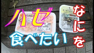 ハゼ釣りのエサは何が良いか＃５【おつまみあかにし貝＆ボイルむきエビ編】