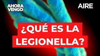 ⚠️ ¿Qué es la  Legionella? 🧫 Una infectóloga explica de qué se trata la bacteria ⚠️