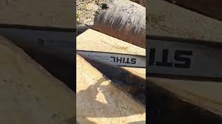 Palm Tree Sawing Skills With Chainsaw STIHL MS070 #306 👇 Full Video