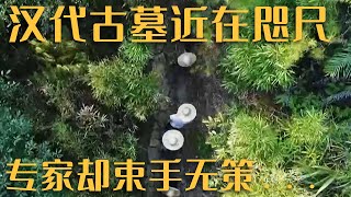 专家勘测古墓入口未果 老汉随口一说 却帮专家解决了难题《探索·发现》西汉楚王大墓疑云（上）| 中华国宝