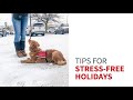 Tips for stress-free holidays with your service dog