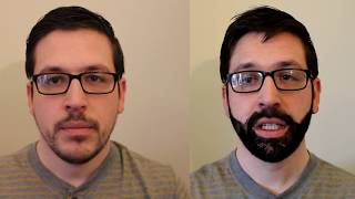 Creating a 'fake' beard using hair building fibers