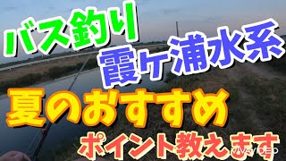 【バス釣り】霞ヶ浦水系夏のおすすめポイント教えます