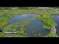 【2017台灣自行車節 臺東鐵馬輕旅行案】空拍影片 3min 4096x2160【4k】