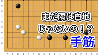 【囲碁】手筋講座〜星からの大ゲイマジマリとコスミ編～実戦頻出型～No610