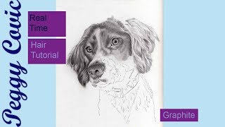 Realistic Dog Hair with Graphite  Real Time