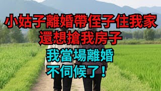 小姑子離婚帶侄子住我家，還想搶我房子，我當場離婚：不伺候了！【煙雨夕陽】#為人處世 #爽文 #情感故事 #深夜讀書 #幸福人生