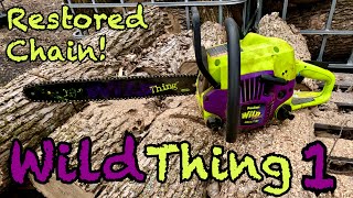 Forester Chainsaw Sharpener- Sharpening beat up chain on Poulan Wild Thing- Video 1 of 2