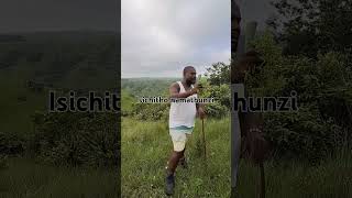 Isichitho namathunzi     #trendingreels #trendingnow #trending #trendingreelsvideo #fypviralシ #fyp