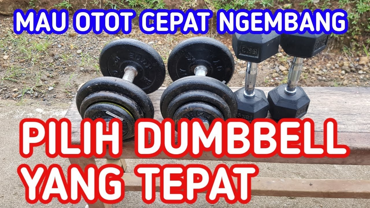 DUMBBELL Terbaik Untuk Latihan - YouTube