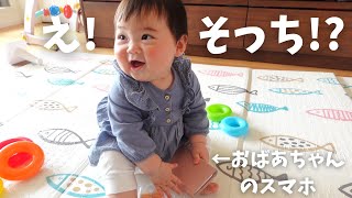 【生後254日】スマホを見つけた時の反応！興味津々かと思いきや…あれ？そっち！？ (Day 254. When Ponu found an iPhone…)